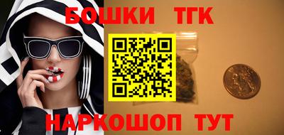 кокс Кингисепп